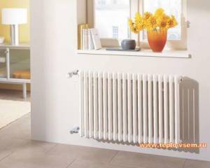 Стальной панельный радиатор Arbonia в гостинной
